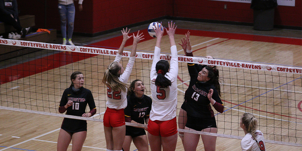 Red Raven Volleyball Splits Home Matches