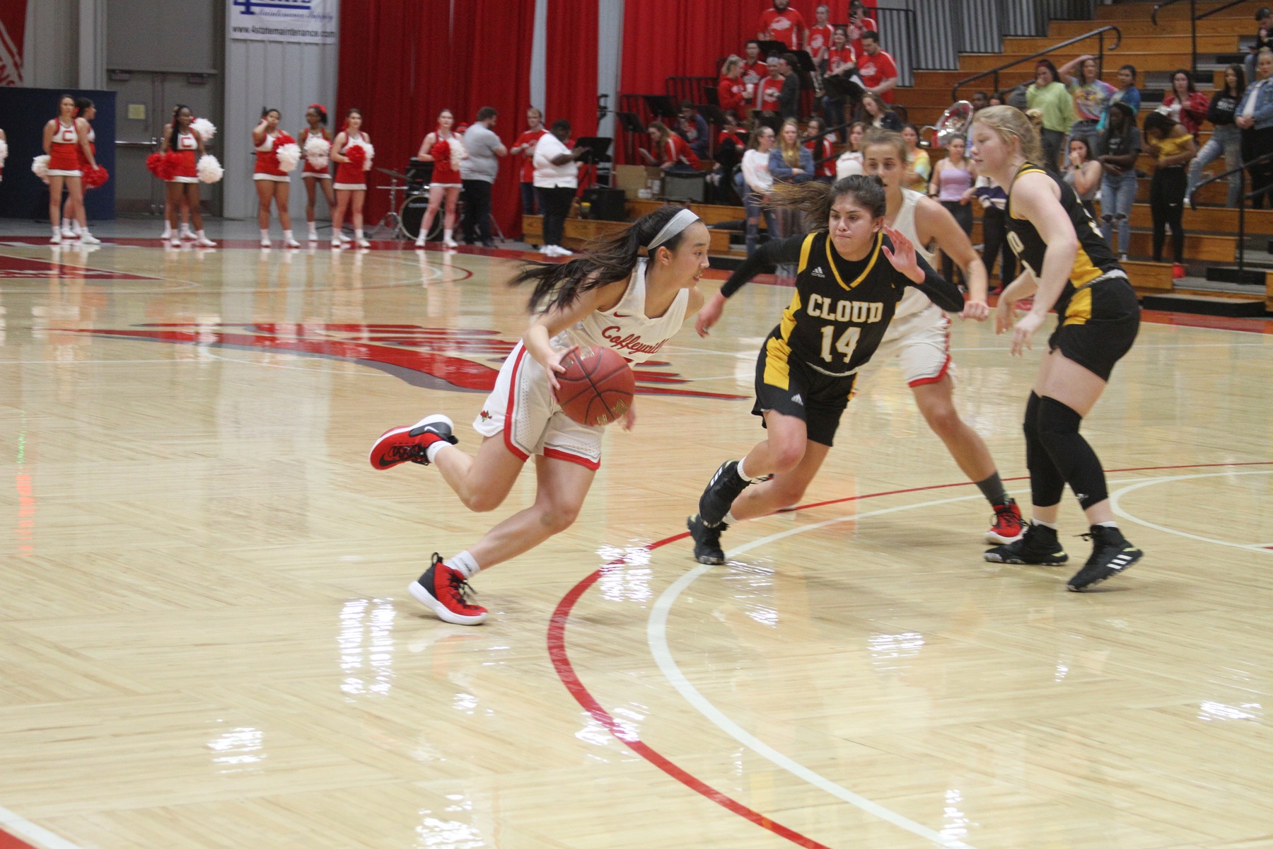 Four Ravens Reach Double Figures in Red Raven Women's Basketball Victory Over Cloud, 73-56